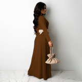 Sexy Solid Color High Quality Long Sleeve Dress