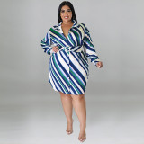Plus Size Women's Long Sleeve Diagonal Stripe Shirt Dress