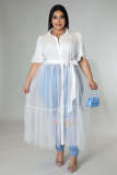 Plus Size Women's Chiffon Mesh Crinkle Top Casual Dress