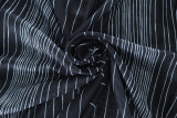Stand Collar Striped Print Mesh Sheer Long Sleeve Dress