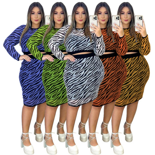 Plus Size Women's Sexy Zebra Print Midi Dress Two Piece