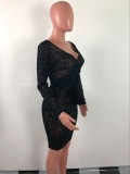 Plus Size Women's Lace Flocking Long Sleeve V-Neck Sexy Perspective A-Line Skirt Nightclub Fashion Dress
