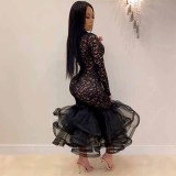 High elasticity multi-color explosion sexy see-through lace dress