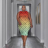 Plus Size Fashion Printed Sleeveless Dress