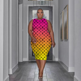 Plus Size Fashion Printed Sleeveless Dress