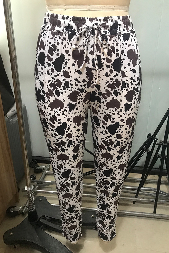 jcpenney levis 502