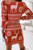 Christmas Pattern Print Lace-up Long Sleeve Mini Dress