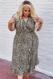 Leopard Print Ruffled Lace-up Plus Size Midi Dress