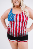 Multicolor American Flag Print Tankini Plus Size Swimwear