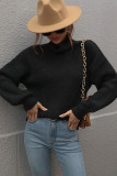 Plain Turtle Neck Pullover Sweaters