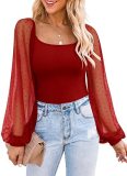Puffy Sheer Sleeves Square Neck Long Sleeves Top