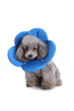 Pet Neck Protection Cover Grooming Set MOQ 3PCs