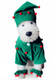 Halloween Pet Costume Wizard Dog Clothes MOQ 3PCS