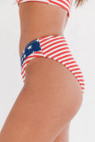 Red American Flag Pattern 2pcs Bikini Swimsuit