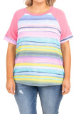 Multicolor Striped Plus Size Raglan Sleeve Top