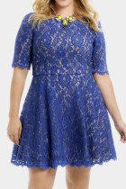 Blue Floral Lace Nude Illusion Plus Size Skater Dress