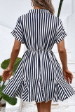 Zebra Stripes Splicing Mini Dress 