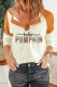 Brown Hello Pumpkin Graphic Colorblock Henley Top