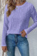 Plain Jacquard Lace Crew Neck Long Sleeves Top