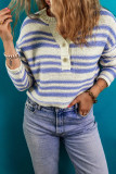 Stripe Printed Knit Henley Sweater
