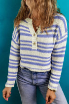 Stripe Printed Knit Henley Sweater
