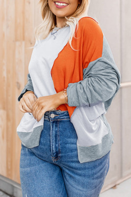 Multicolor Plus Size Colorblock Seamed Drop Shoulder Sweatshirt