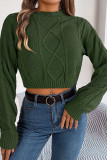 Plain Cable Knit Crop Sweater