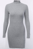 Plain Turtleneck Knitting Dress 