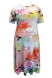 Plus SIze Floral Print Watercolor Long Dress 
