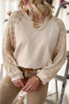 Parchment Eyelet Knit Patchwork Raglan Sleeve Pullover Top