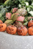 20PCS Set Resin Pumpkin Halloween Decor 