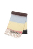 Colorblock Tassel Scarf 