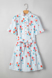Sky Blue Stripe Floral Pattern Ruffle Short Sleeve Belted Mini Dress