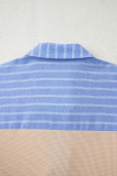 Parchment Plus Size Striped Contrast Trim Waffle Knit Collared Top