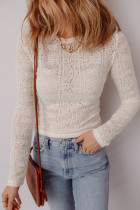 Jet Stream Semi Sheer Lace Long Sleeve Cropped Top