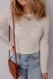 Jet Stream Semi Sheer Lace Long Sleeve Cropped Top