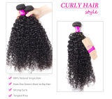 Hair Curly Bundles Virgin Hair 4 Bundles Jerry Curly Human Hair Weave