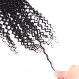 Human Hair Curly Wave 4*4 Lace Closure Human Hair Extensions