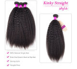 Kinky Straight Bundles Hair Weave Bundles With Closure Remy Human Hair 3 Bundles With Closure