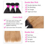 Best Quality Straight Hair Color T1b/27 Honey Blonde 3 Bundles Straight Virgin Hair