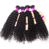 Wholesale Virgin Hair Bundle Remy Curly Wave Human Hair Weave