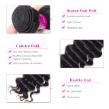 Wholesale Virgin Hair Bundle Loose Deep Remy Human Hair Extensions