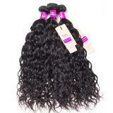 Water Wave 3 Bundles Virgin Human Hair With 360 Lace Frontal Closure Wet and Wavy