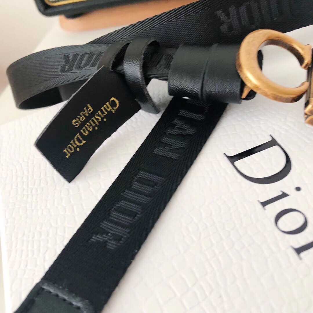 dior belt nylon