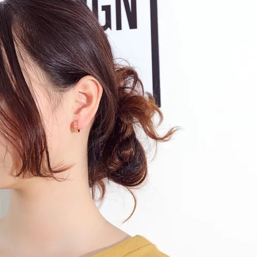 Wholesale Stainless Steel Women Frosted Groove Small Hoop Earrings