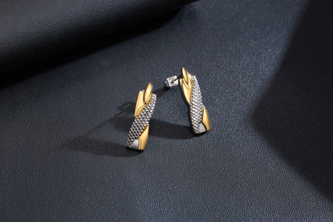 Wholesale Dragon Design Titanium Earrings