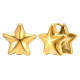 Wholesale Stainless Steel Double Star Earring