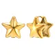 Wholesale Stainless Steel Double Star Earring
