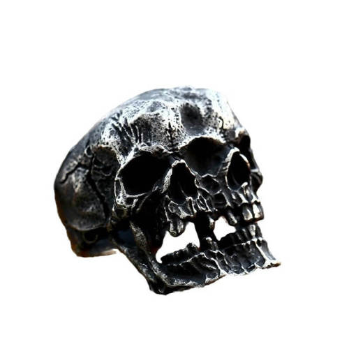 Wholesale Stainless Steel Siamese Skull Ring