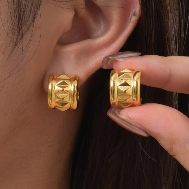 Wholesale Stainless Steel Fashion Premium Earrings